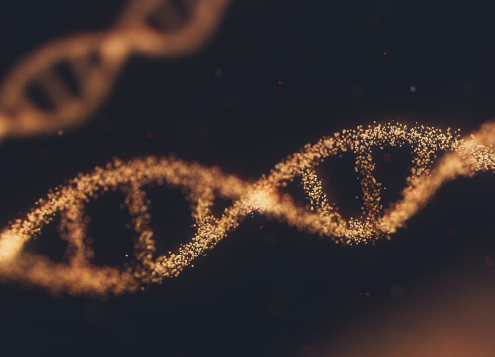 connection between genetics and addiction